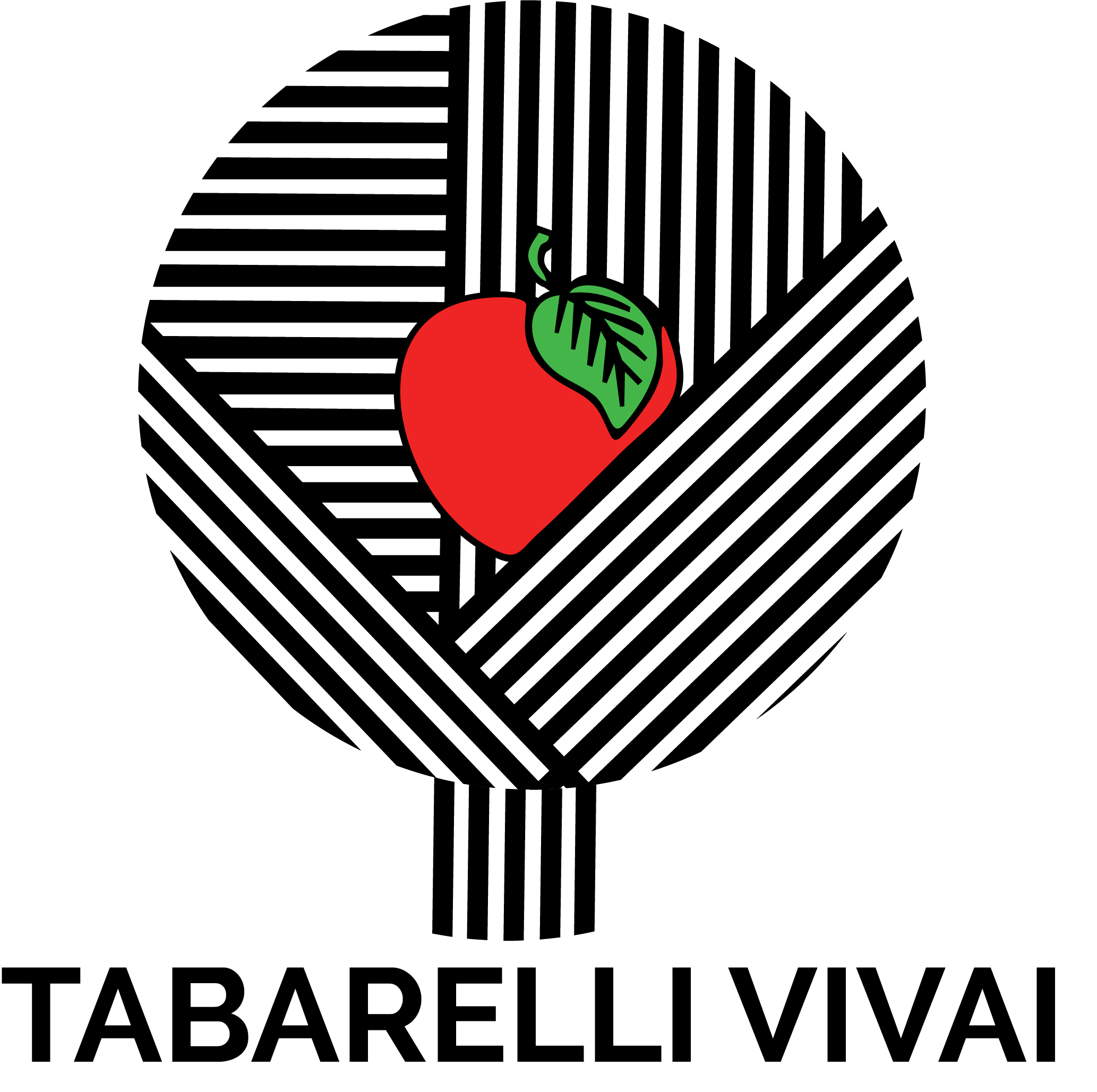 Logo de Tabarelli Vivai